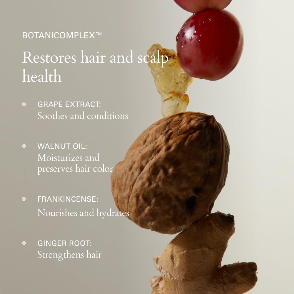 RŌZ Foundation Conditioner | Hydrating Ceramides, Pea Peptides | All Hair Types | Vegan