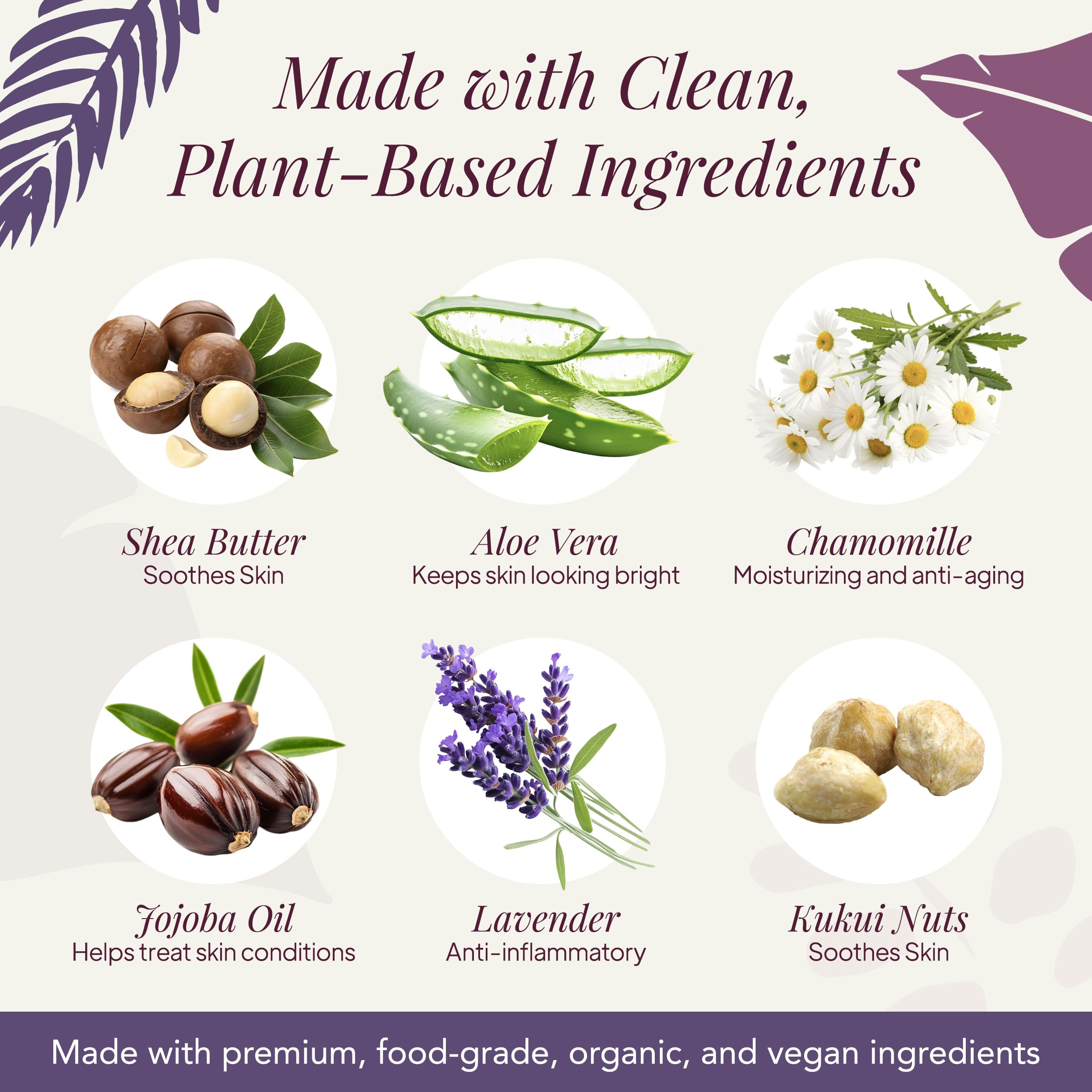 Saavy Naturals Hand Wash – Plant-Based Aloe Vera & Shea Butter, Lavender Chamomile, 12 fl oz (2-pack)