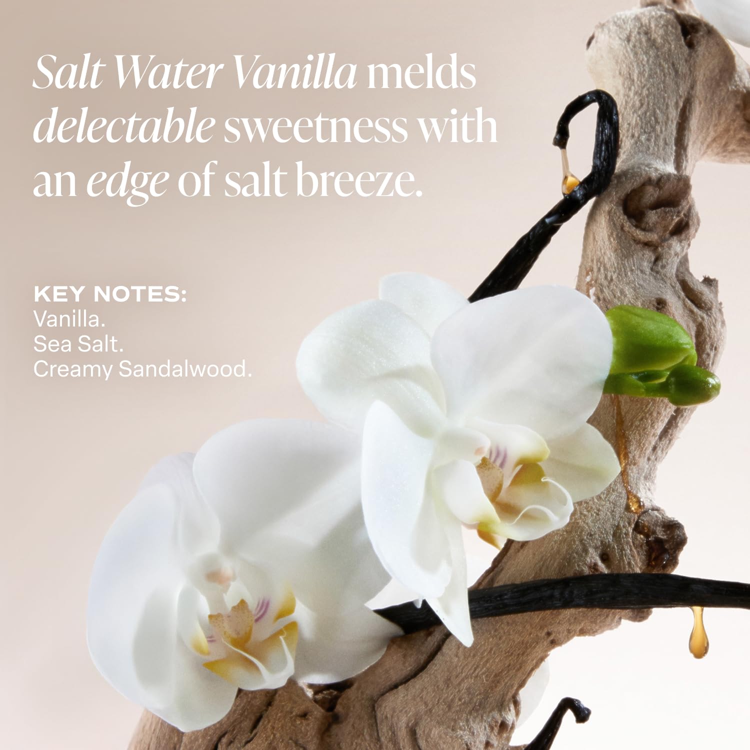 Saltair Body Lotion - 2 Pack | Hydrating Cream for Dry Skin with Salt Water Vanilla Scent