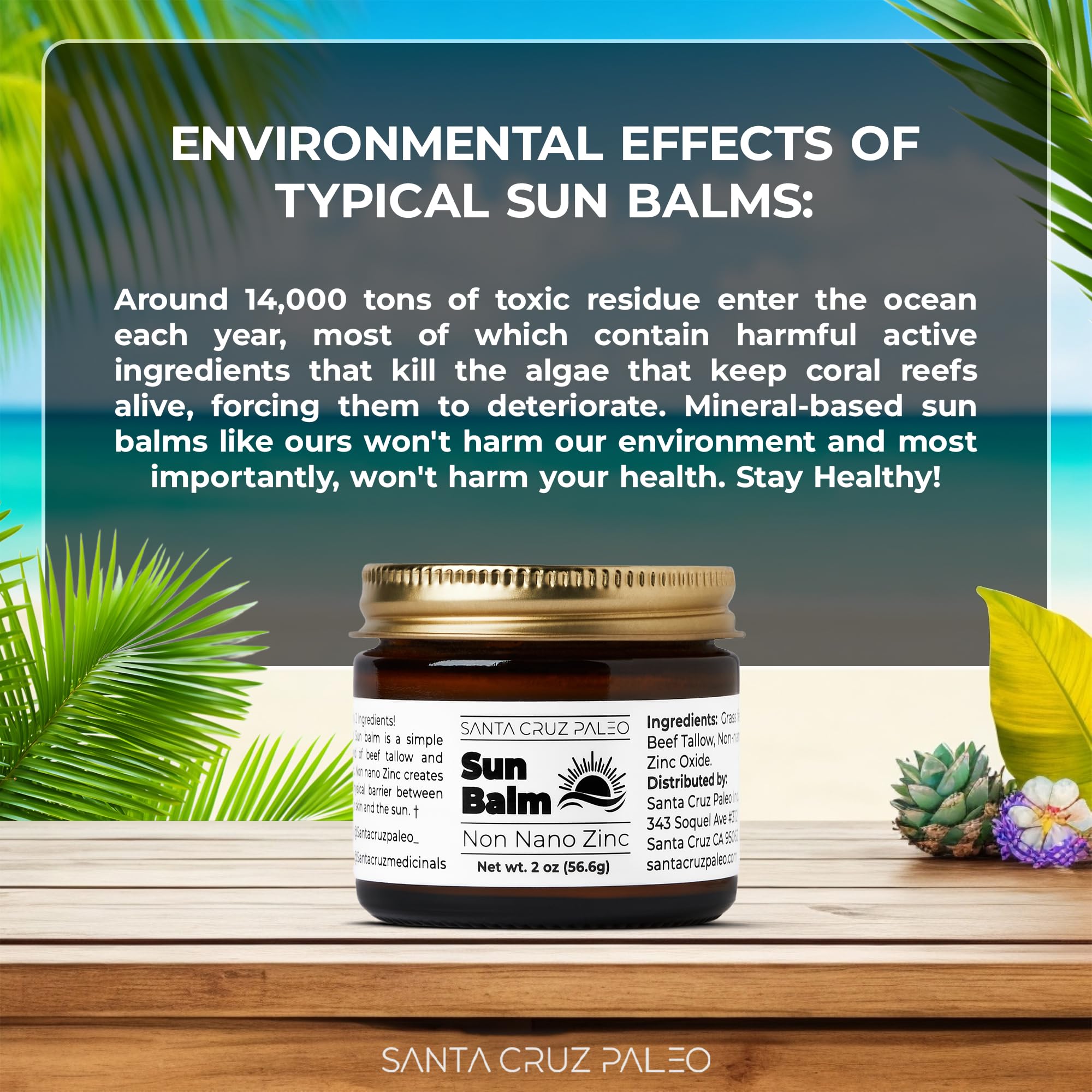 Santa Cruz Paleo Beef Tallow Sun Balm with Non-Nano Zinc Oxide – Unscented, Sunscreen Free, 2 oz