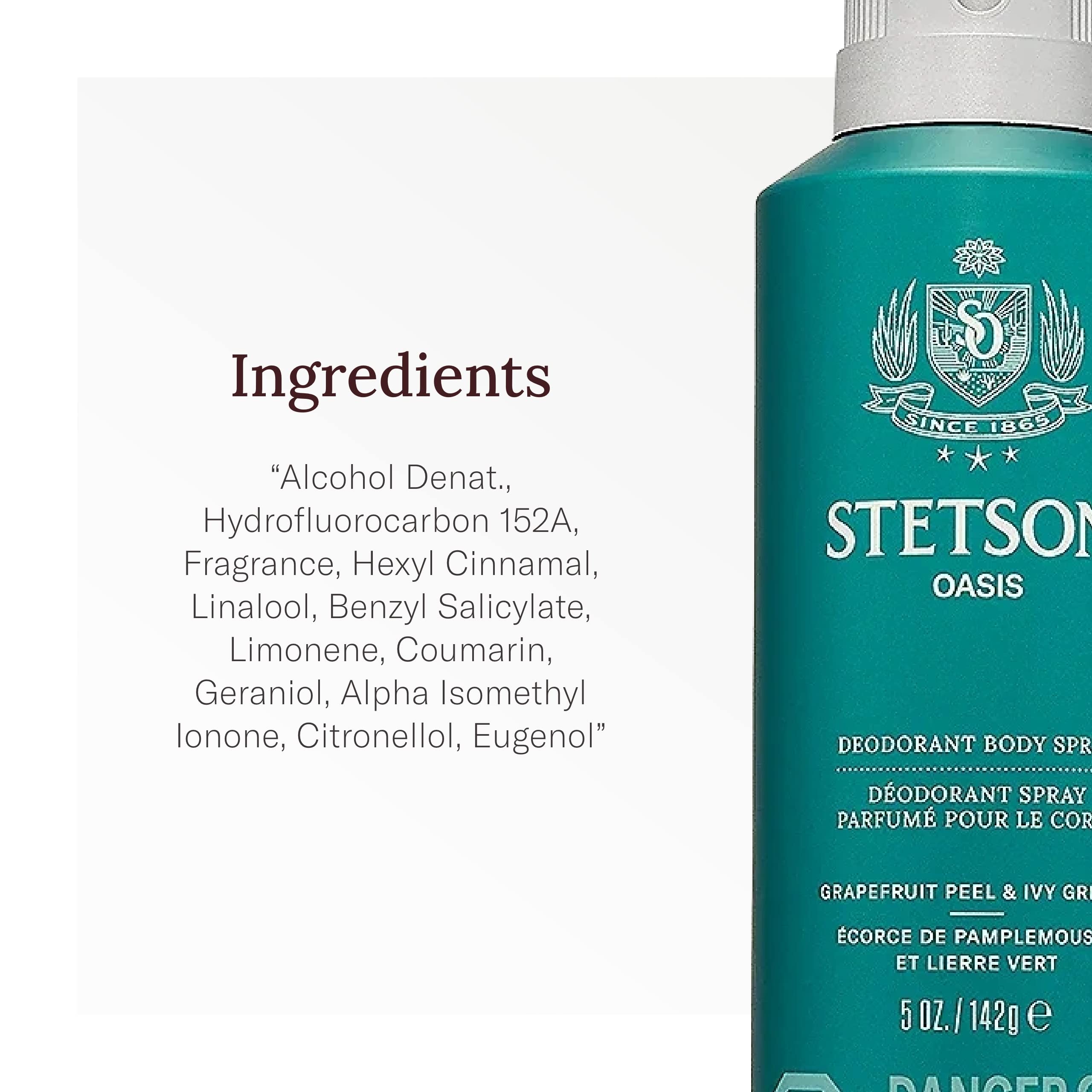 STETSON All Day Body Spray for Men by SCENT BEAUTY - Oasis 3-Pack (5 oz each)
