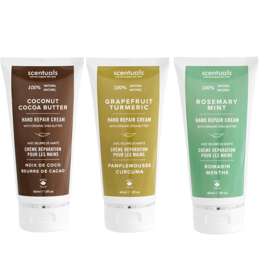 Scentuals Hand Cream Set of 3 – Shea & Cocoa Butter Rich Formula with Argan & Almond Oils, 60 ml Each – Grapefruit Turmeric, Rosemary Mint & Coconut Cocoa Butter