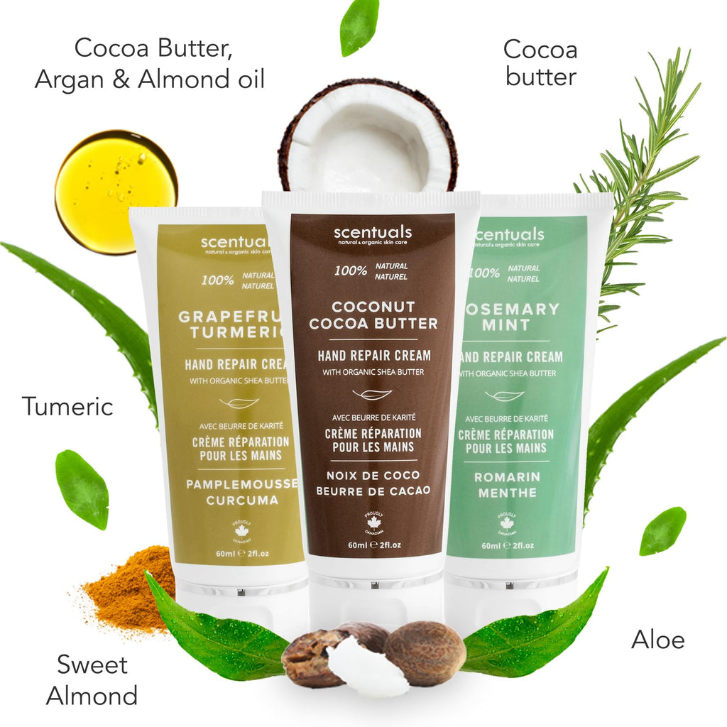 Scentuals Hand Cream Set of 3 – Shea & Cocoa Butter Rich Formula with Argan & Almond Oils, 60 ml Each – Grapefruit Turmeric, Rosemary Mint & Coconut Cocoa Butter