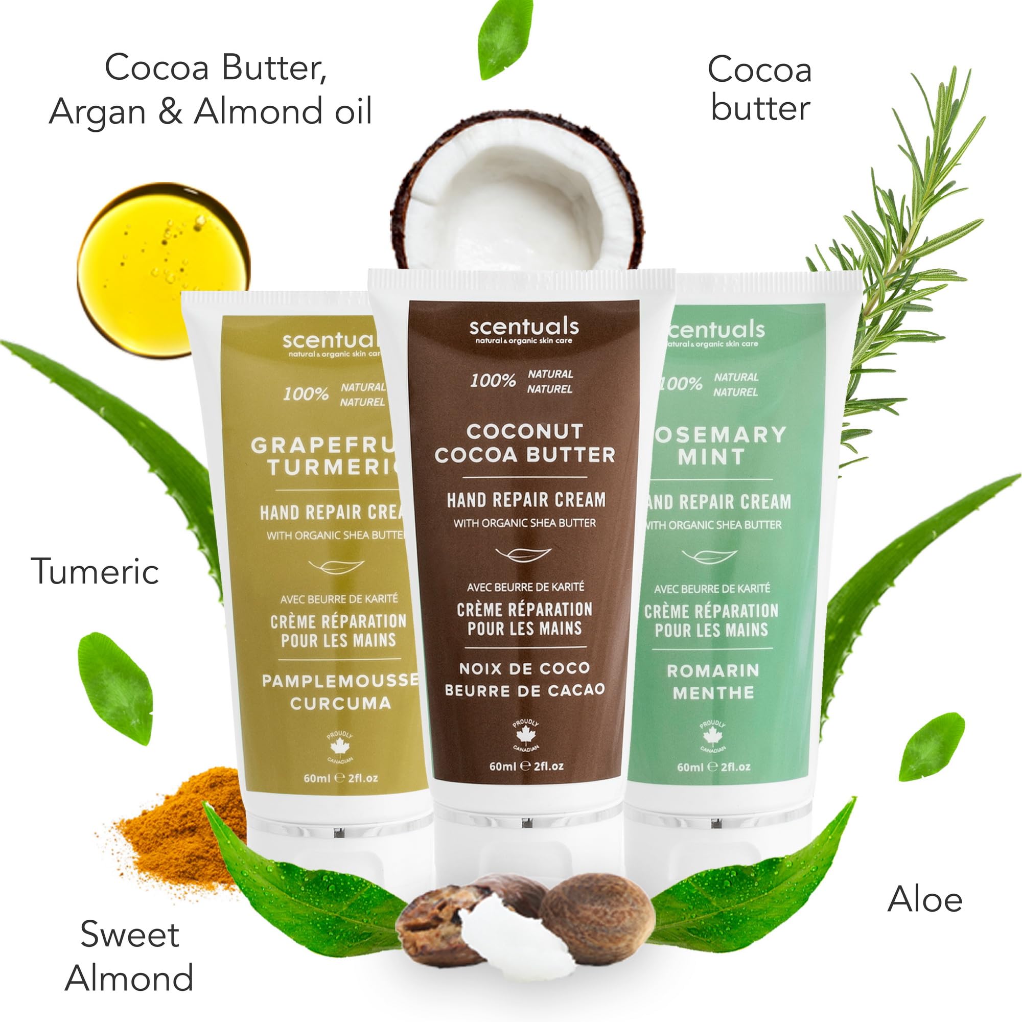 Scentuals Hand Cream Set of 3 – Shea & Cocoa Butter Rich Formula with Argan & Almond Oils, 60 ml Each – Grapefruit Turmeric, Rosemary Mint & Coconut Cocoa Butter