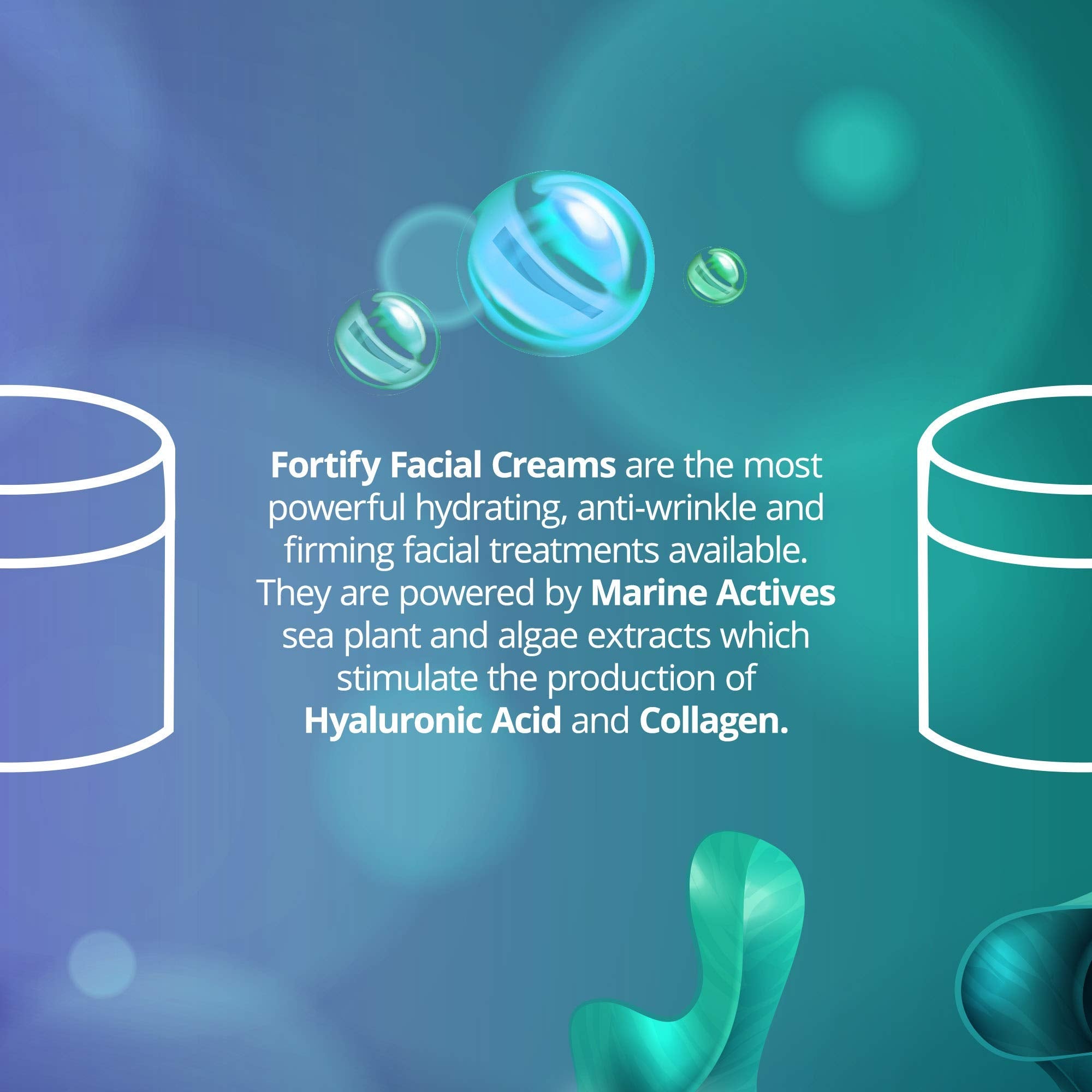 Sea Kind Fortify Cell Boosting Day Cream – Lightweight Marine Actives Moisturizer for All Skin Types