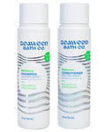 Seaweed Bath Co. Balance Shampoo & Conditioner Set – Eucalyptus Peppermint (12 oz x2)