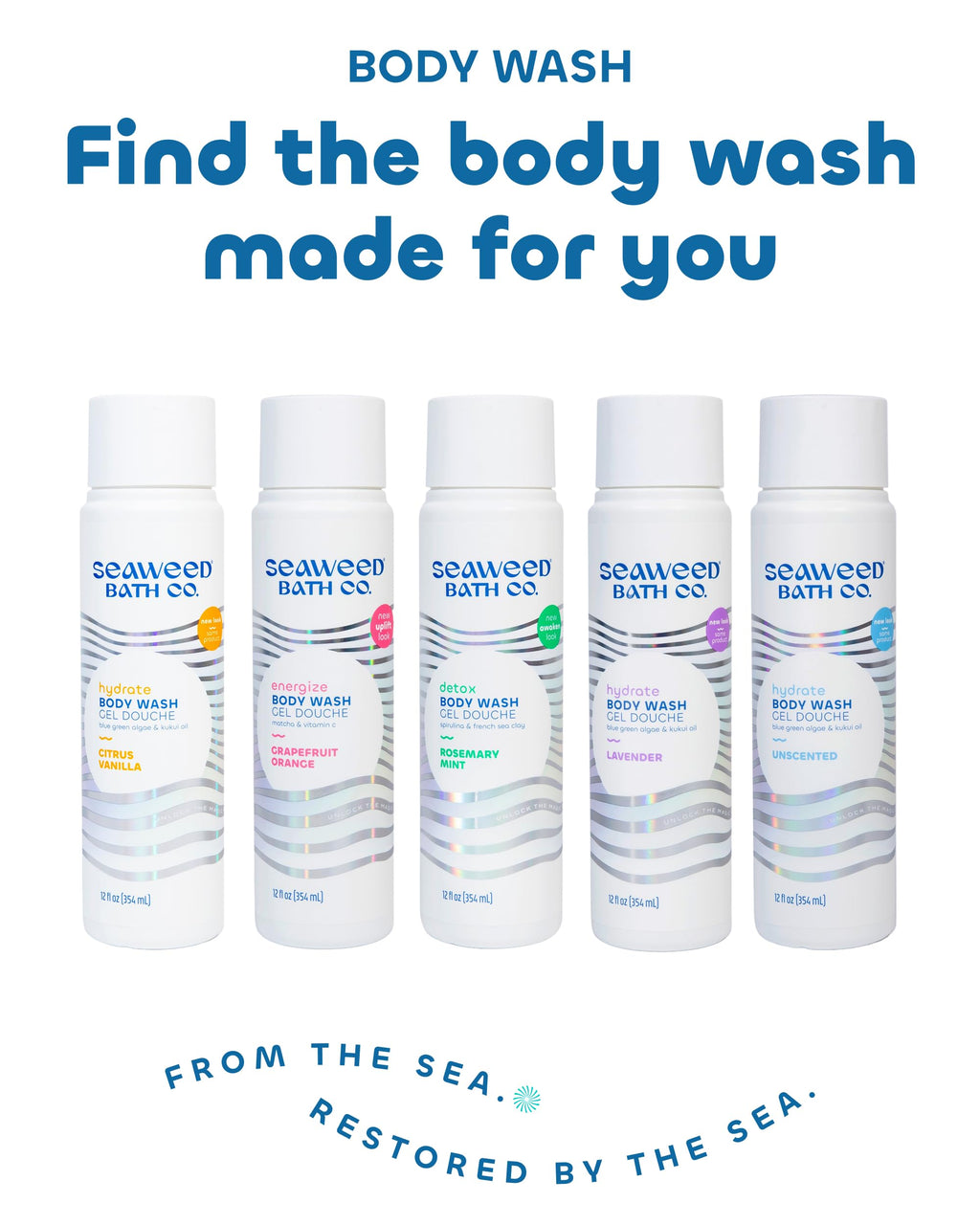 Seaweed Bath Co. Energize Body Wash – Grapefruit Orange | 12 oz (Pack of 2) | Vegan, Paraben & Sulfate Free