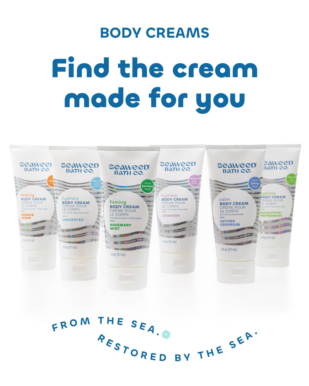 Seaweed Bath Co. Energize Body Cream – Grapefruit Orange | Vitamin C, Hyaluronic Acid & Shea Butter | 6 oz