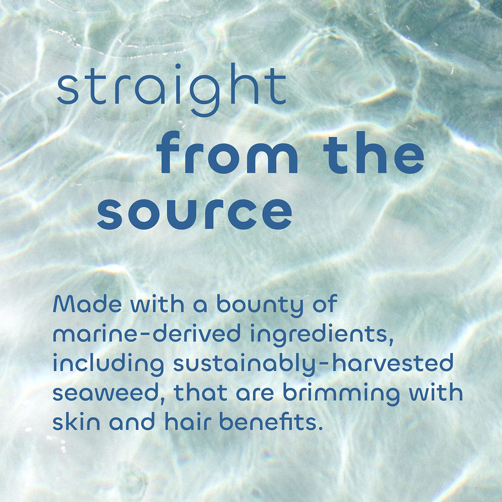 The Seaweed Bath Co. Gloss Conditioner – Sea Salt Bergamot, 12 oz | For All Hair Types