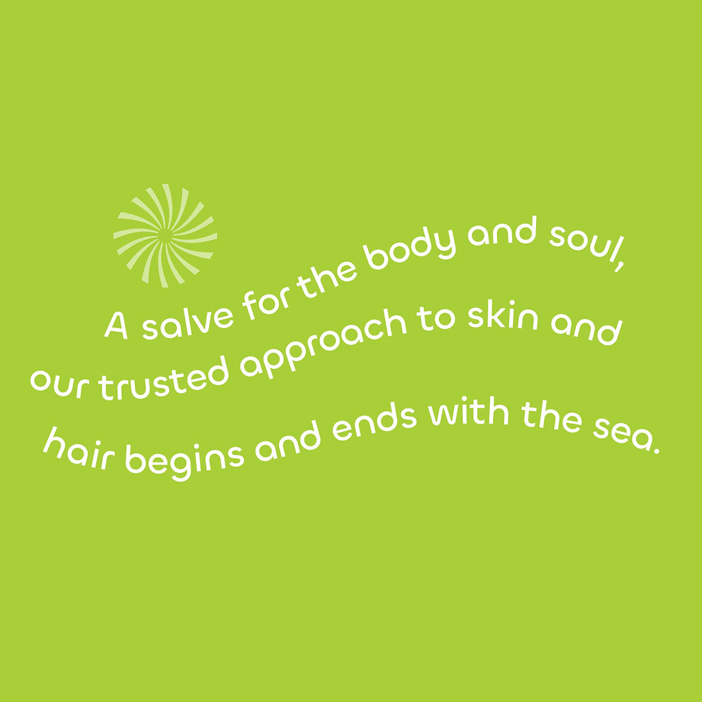 Seaweed Bath Co. Gloss Shampoo – Sea Salt Bergamot Scent, 12 oz | Sustainably Harvested Seaweed & Awapuhi
