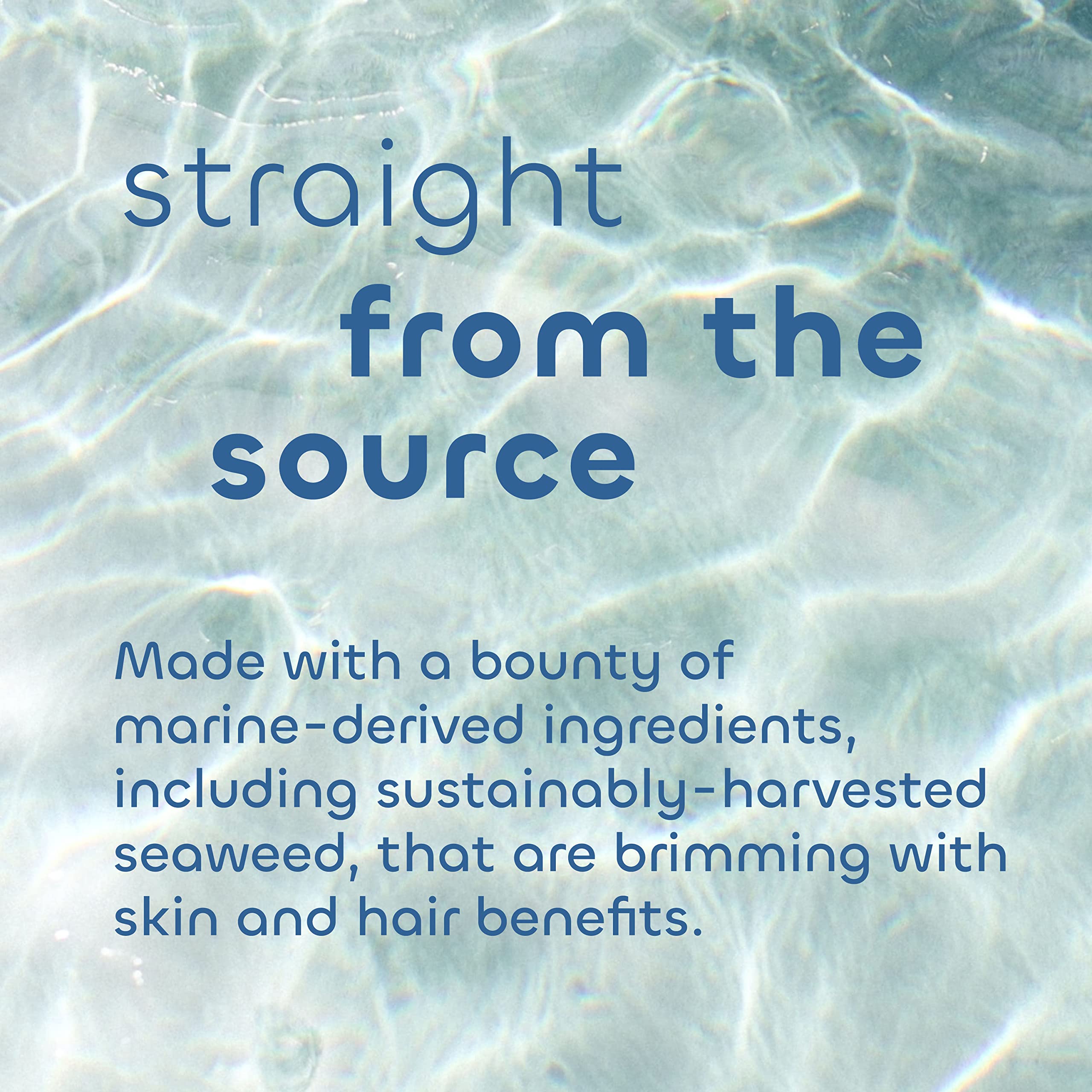 Seaweed Bath Co. Gloss Shampoo – Sea Salt Bergamot Scent, 12 oz | Sustainably Harvested Seaweed & Awapuhi