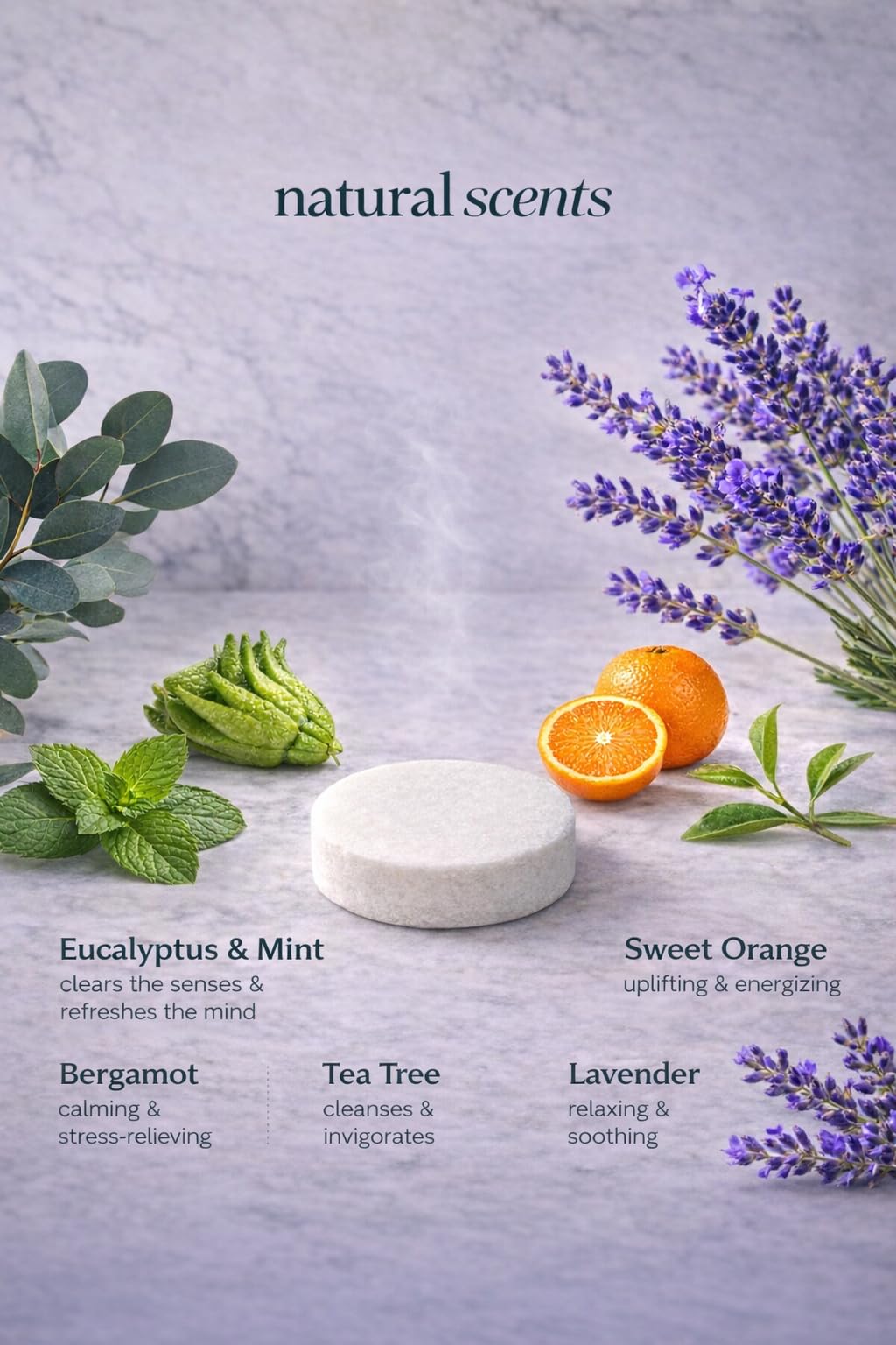 SENTEA Shower Steamers Variety 15 Pack – Eucalyptus & Mint, Sweet Orange, Tea Tree, Bergamot, Lavender