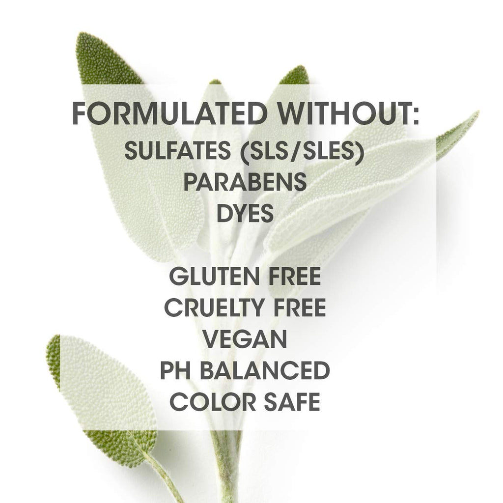 SEVEN Satara Volume Conditioner for Fine Hair – Argan Oil, Pro Vitamin B5, Hydrolyzed Quinoa | Made in USA | 10.7 oz