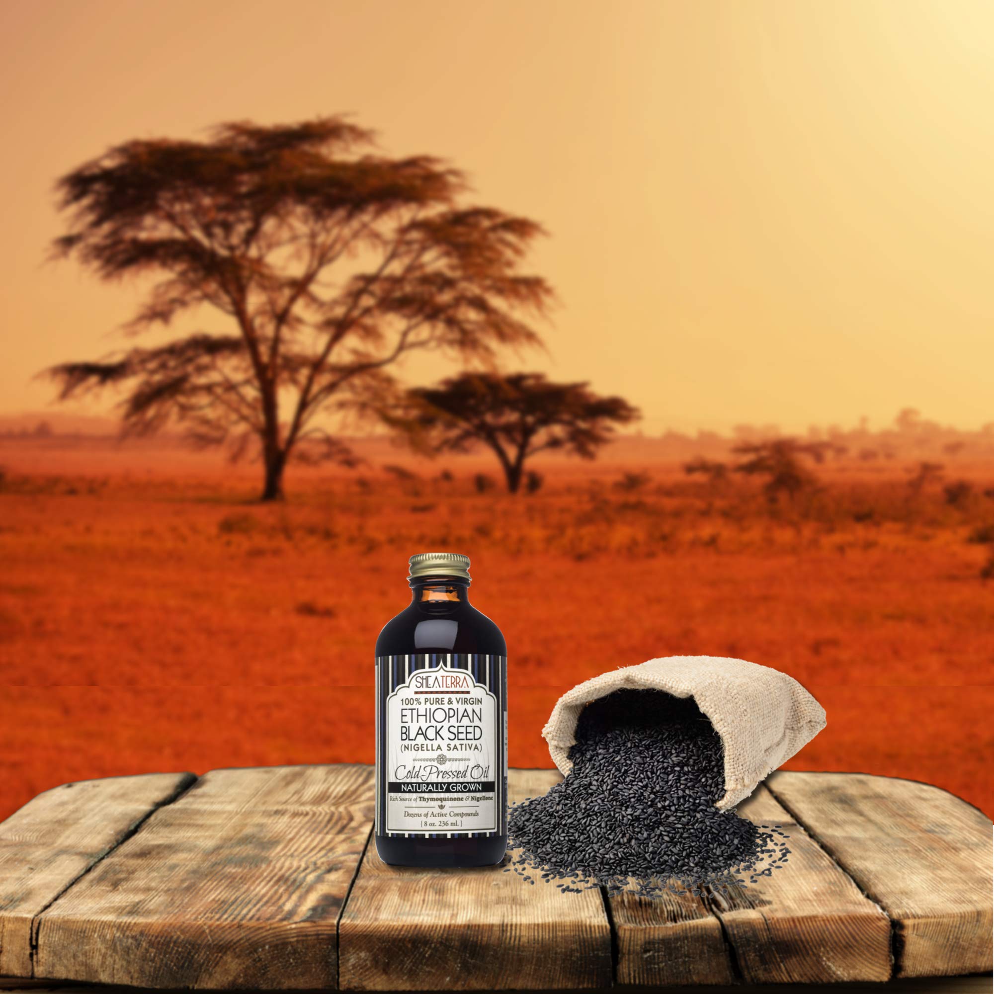 Shea Terra Ethiopian Black Seed Oil – Cold-Pressed Extra Virgin, 8 oz