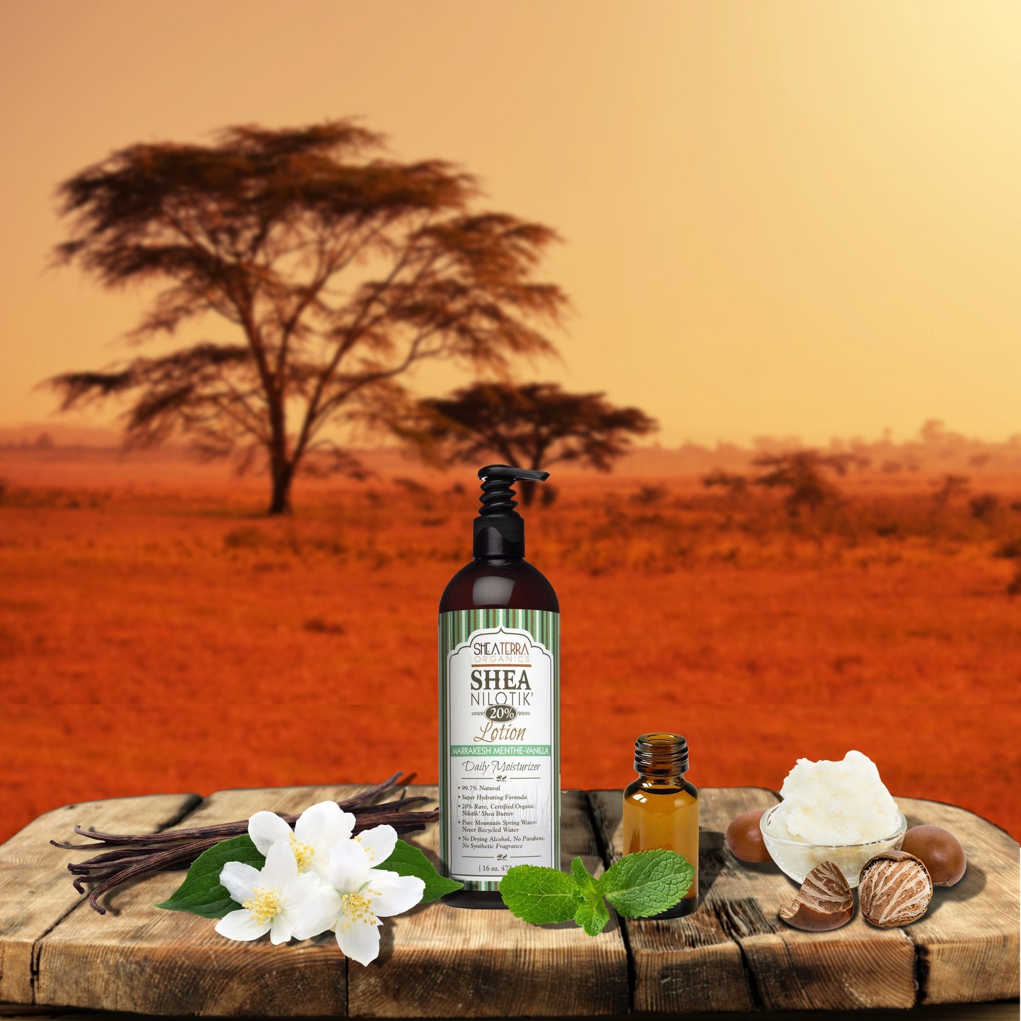 Nilotik’ Shea Butter Ultra-Rich Lotion – Marrakesh Menthe Vanilla, 16 oz | Shea Terra Organics