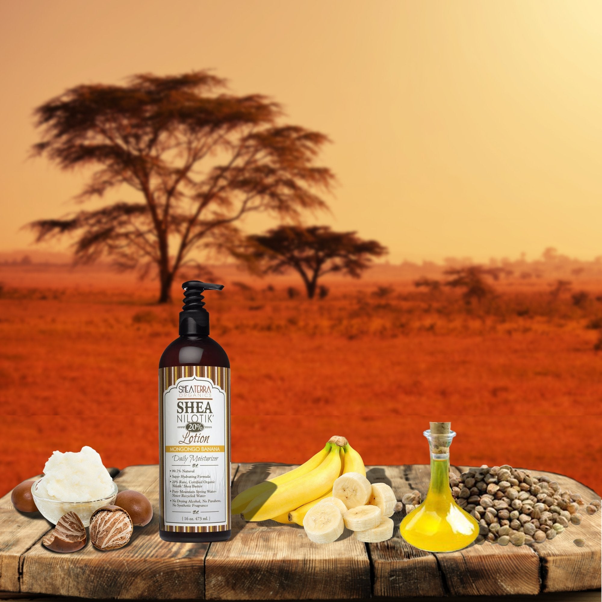 Shea Terra Organics Nilotik’ Shea Butter Lotion – Mongongo Banana | Ultra-Rich Daily Moisturizer 16 oz