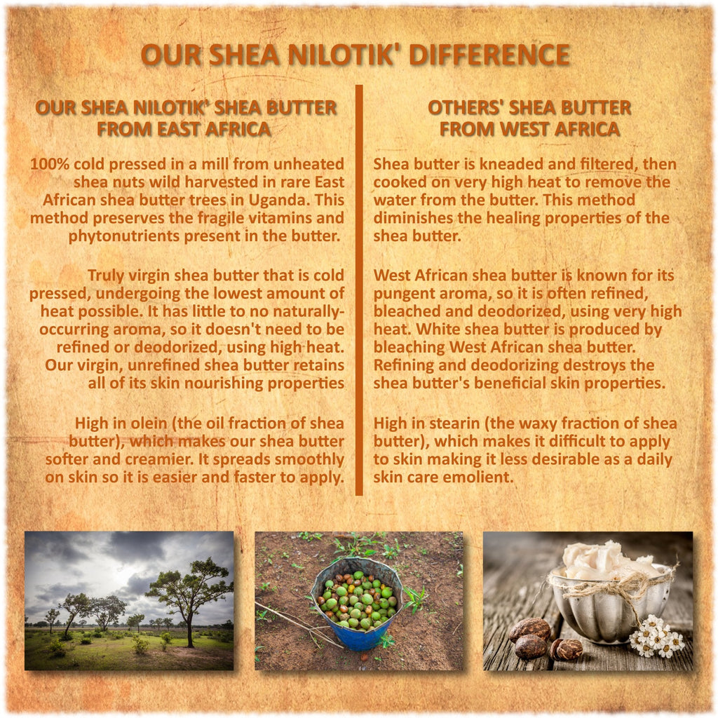 Nilotik’ Shea Butter Ultra-Rich Lotion – Marrakesh Menthe Vanilla, 16 oz | Shea Terra Organics