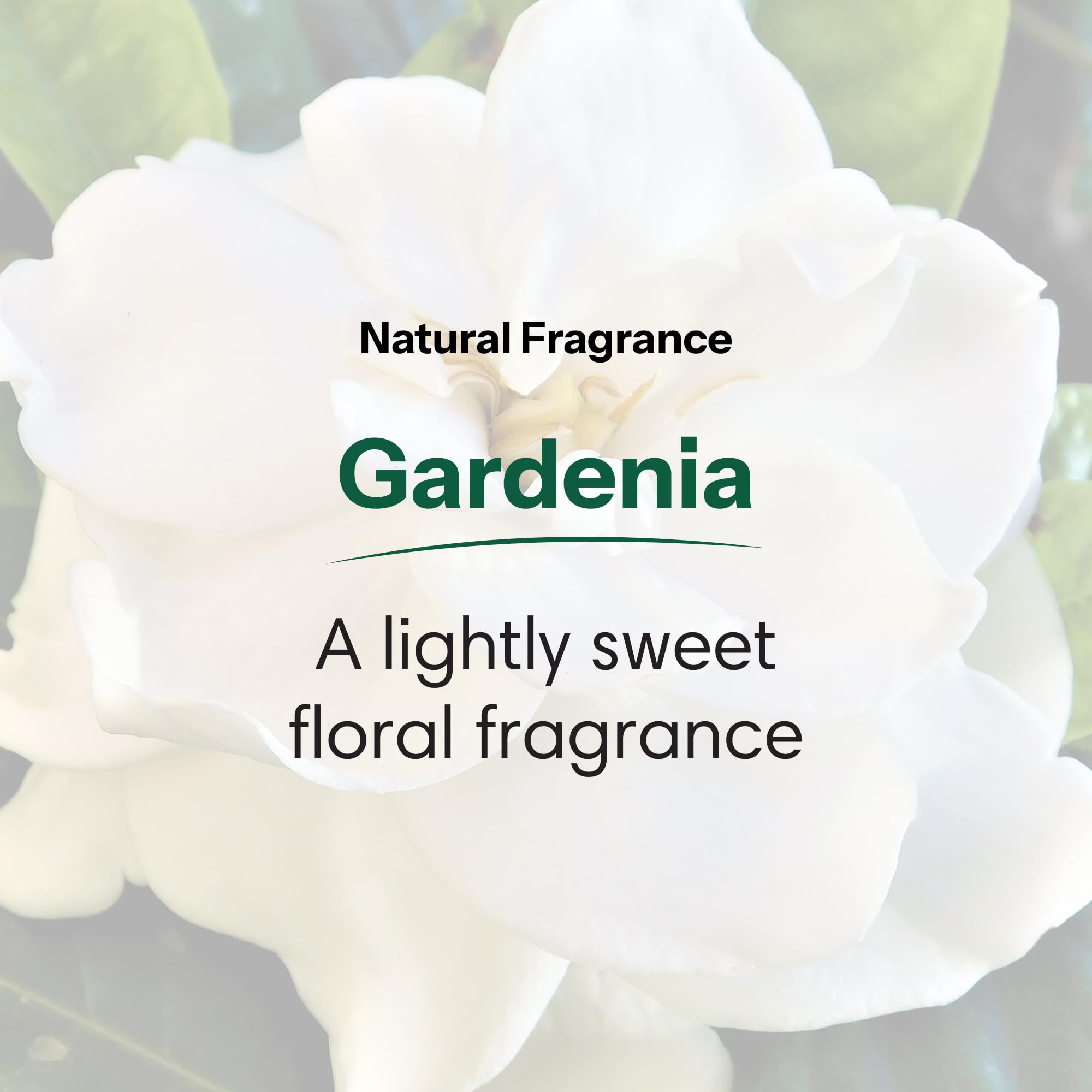 ShiKai Daily Moisturizing Shower Gel Gardenia 12oz Pack of 2 – Aloe Vera & Oatmeal