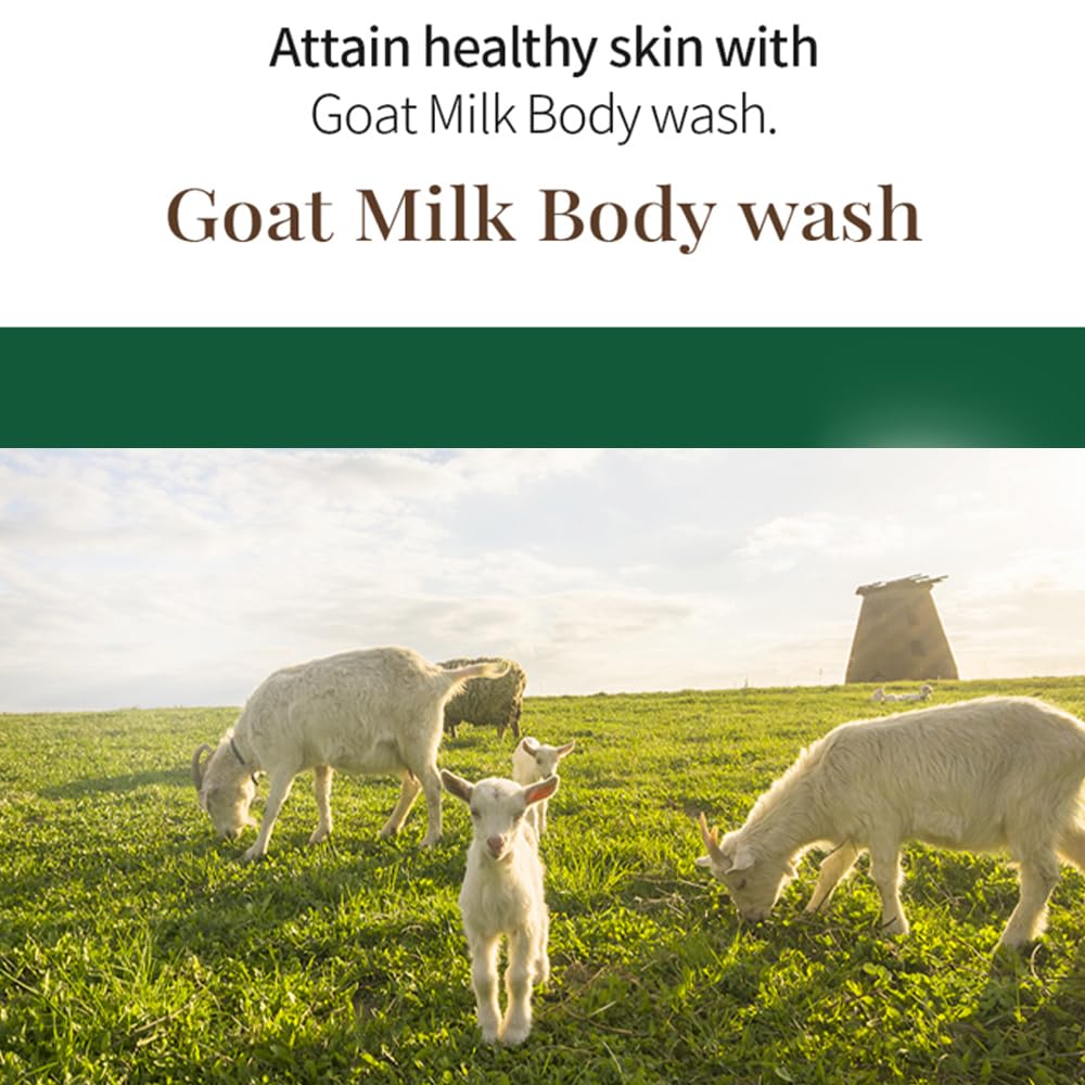 SHOWERMATE Goat Milk Body Wash Strawberry – 27 fl oz / 800 ml, 1 Pack