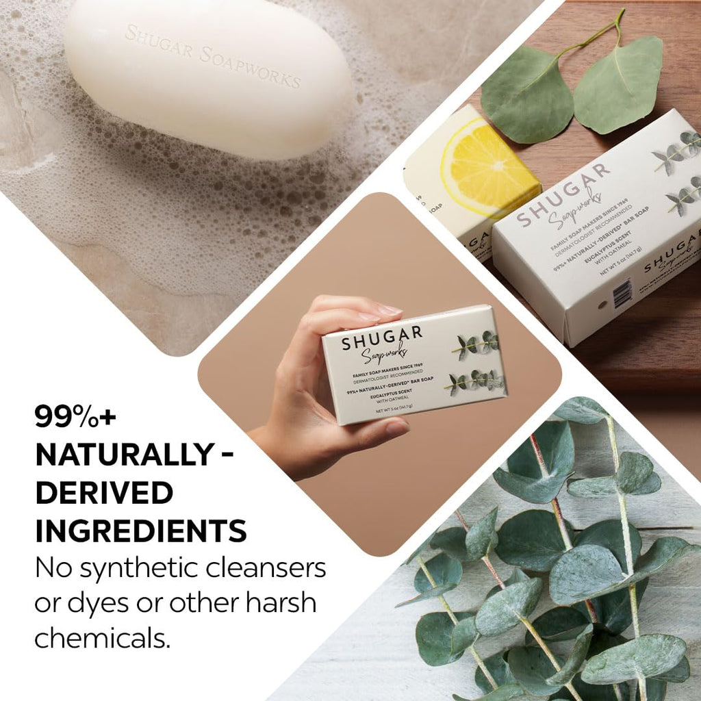 Shugar Soapworks Oatmeal & Eucalyptus Beauty Bar – 8-Pack, 5 oz Each | Plant-Based, Gentle Cleanser