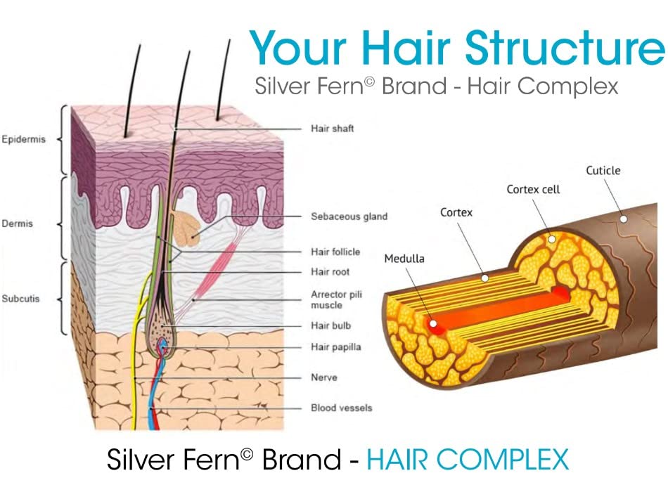 Silver Fern Hair Complex Hair Supplement – 30-Day Supply per Bottle (1 Capsule Daily)
