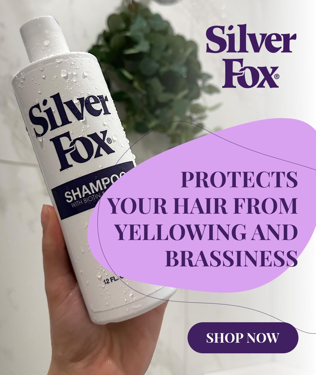 Silver Fox Extra Body Shampoo - 12 fl oz | For Grey, Silver & White Hair