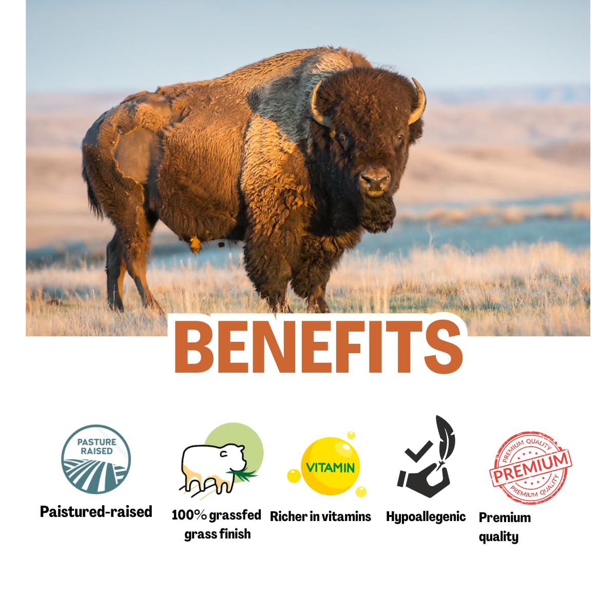 Simple Sophistication BISON | EMU | HONEY Balm – All-Natural Tallow Balm with Honey & Emu Oil | 2 oz