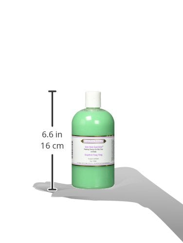 Simply Divine Botanicals Outer Body Experience: Natural 3-in-1 Foaming Cleanser (16 oz) Grapefruit-Ylang Ylang