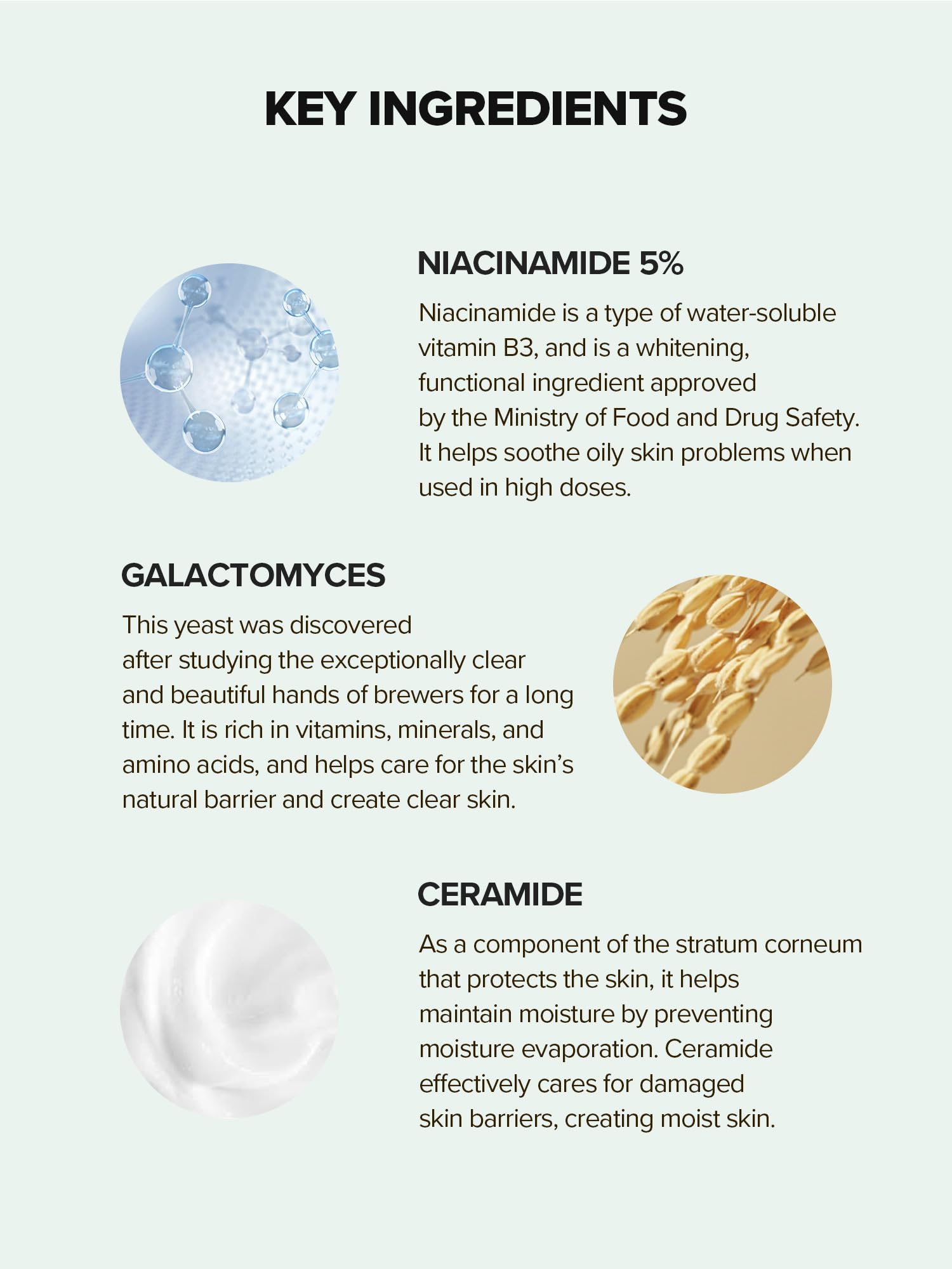 SKINFOOD 1957 Lemongrass Niacinamide 20% Serum — Oily & Sensitive Skin, 50 ml