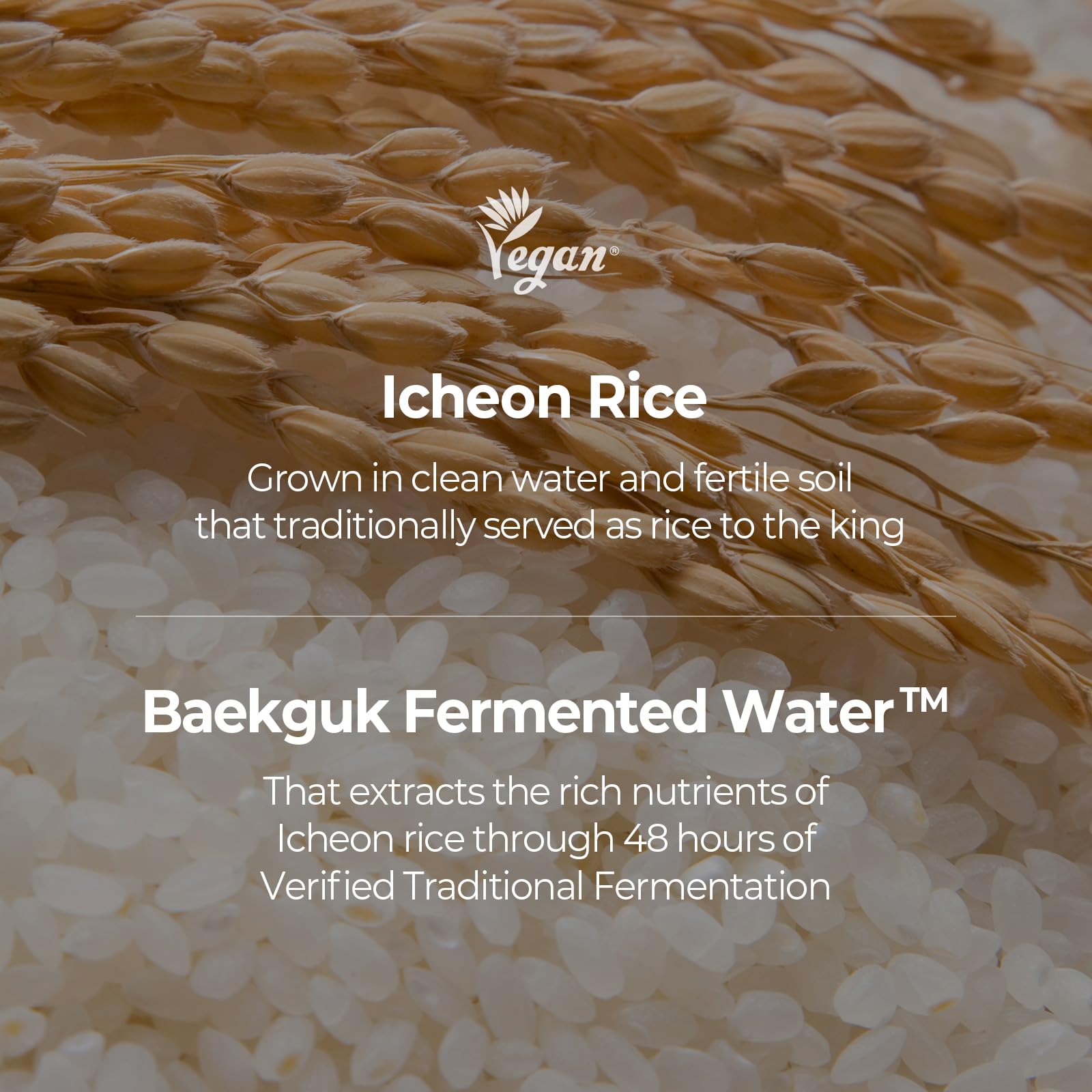 SKINFOOD 1957 Rice Daily Sheet Mask – Hydrating & Nourishing Vegan Korean Skincare