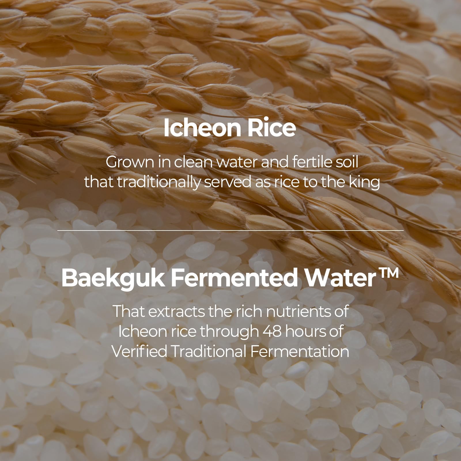 SKINFOOD Rice Daily Sheet Mask | 5-Minute Hydration, Firming & Glass Skin (Bulk Pack 30)