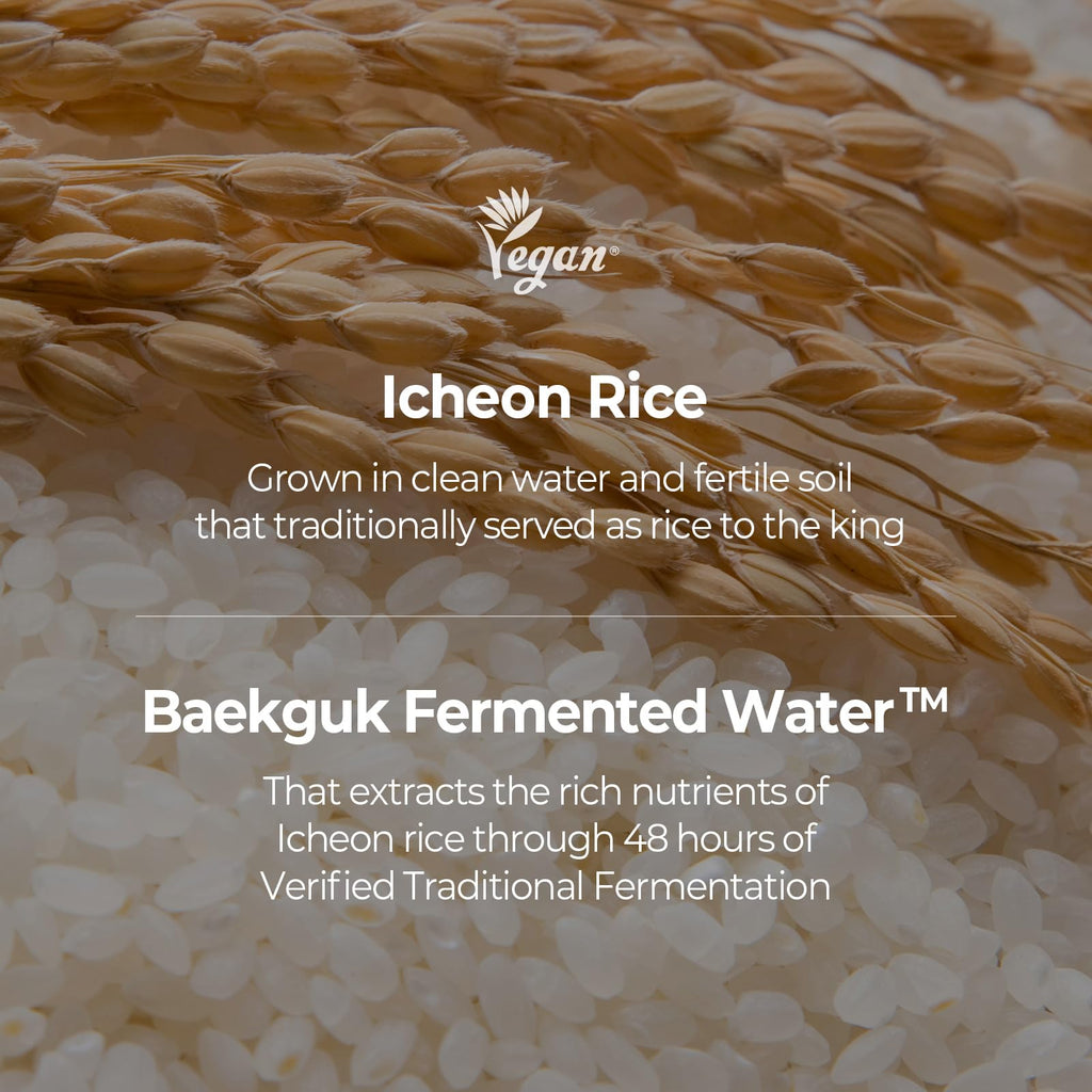 SKINFOOD 1957 Rice Starter Kit — Rice Cleanser, Toner, Serum & Moisturizer for Glass Skin