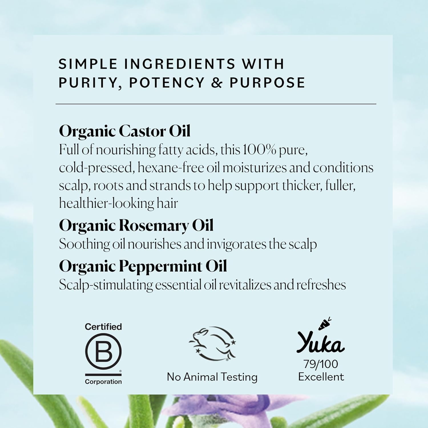 Sky Organics USDA Organic Castor Oil with Rosemary – Strengthening Oil for Scalp & Fuller-Looking Hair