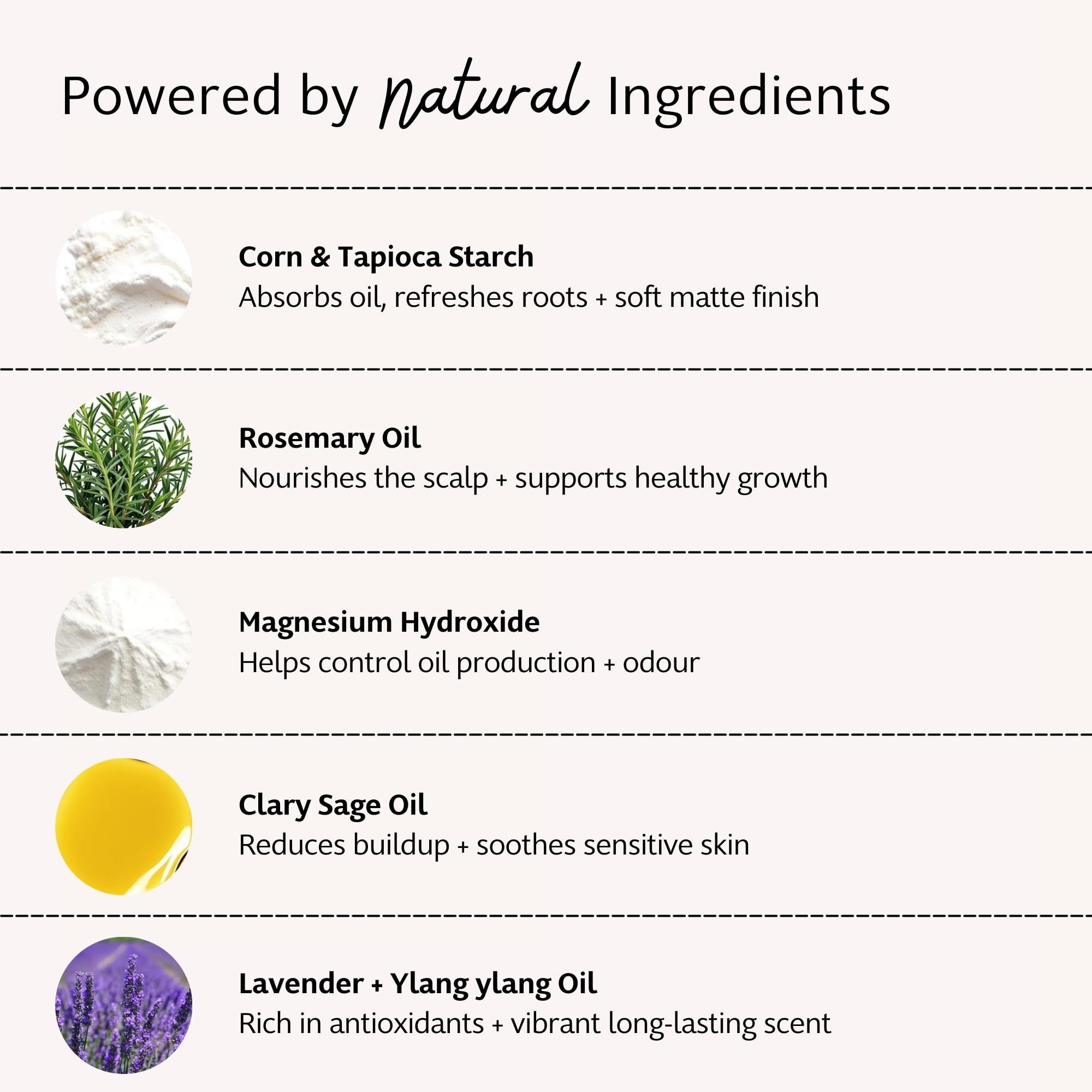 Slo Dry Shampoo Powder for Light Hair | Lavender + Ylang Ylang | 2 Pack (35g each) – All Natural, Vegan & Cruelty-Free, Talc-Free, Paper Packaging