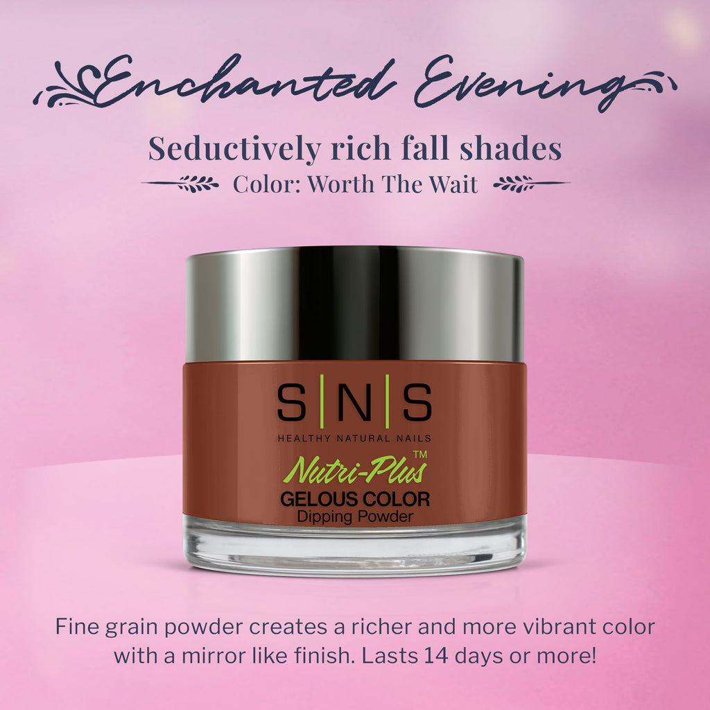 SNS Nail Dip Powder Worth The Wait (Brown) EE23 – 1.5 oz, 14-Day, Low-Odor, UV-Free