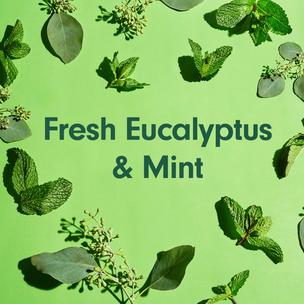 Softsoap Eucalyptus & Mint Body Wash – Moisturizing 4-Pack, 20 oz each
