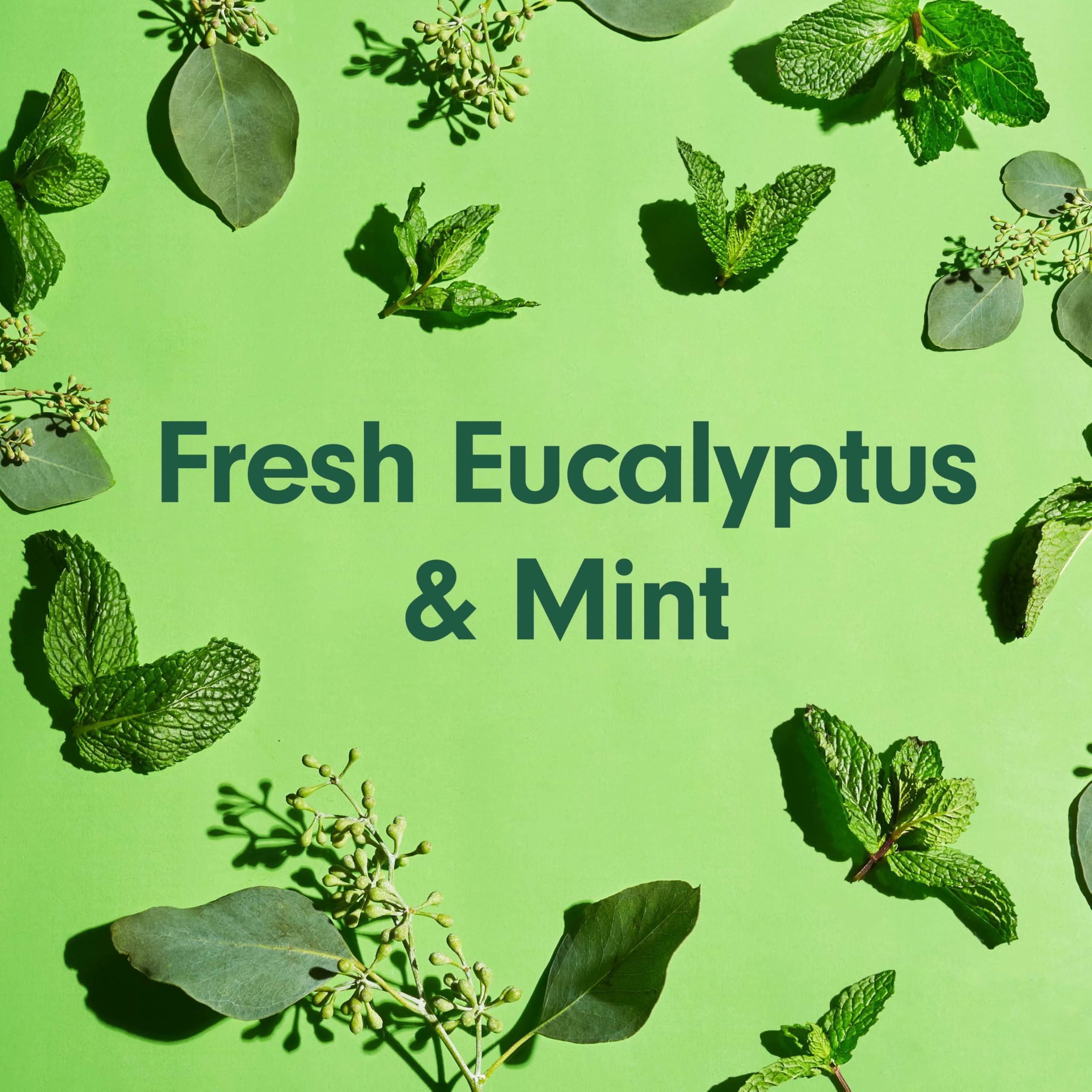 Softsoap Eucalyptus & Mint Body Wash – Moisturizing 4-Pack, 20 oz each