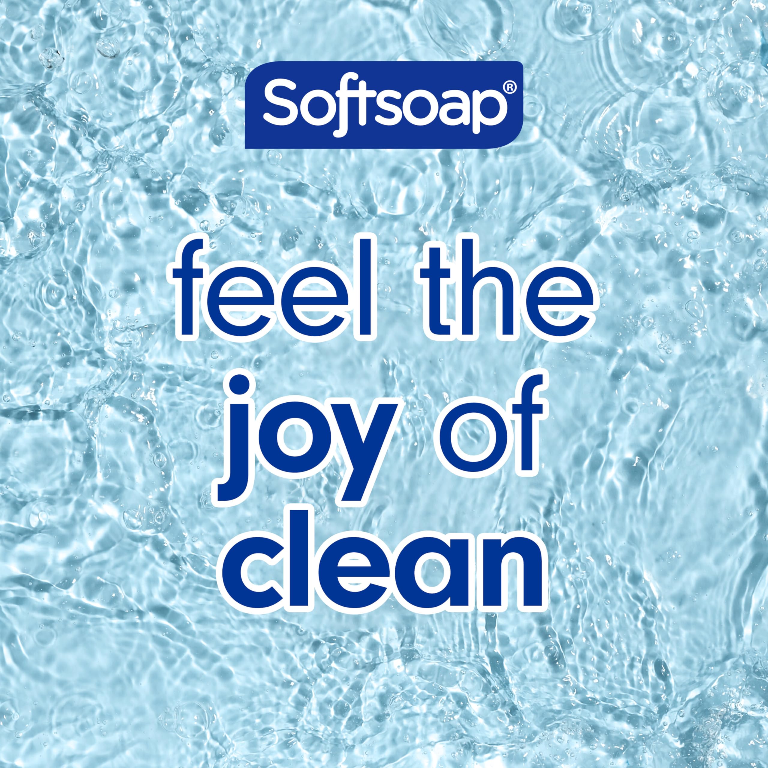 Softsoap Eucalyptus & Mint Body Wash – Moisturizing 4-Pack, 20 oz each