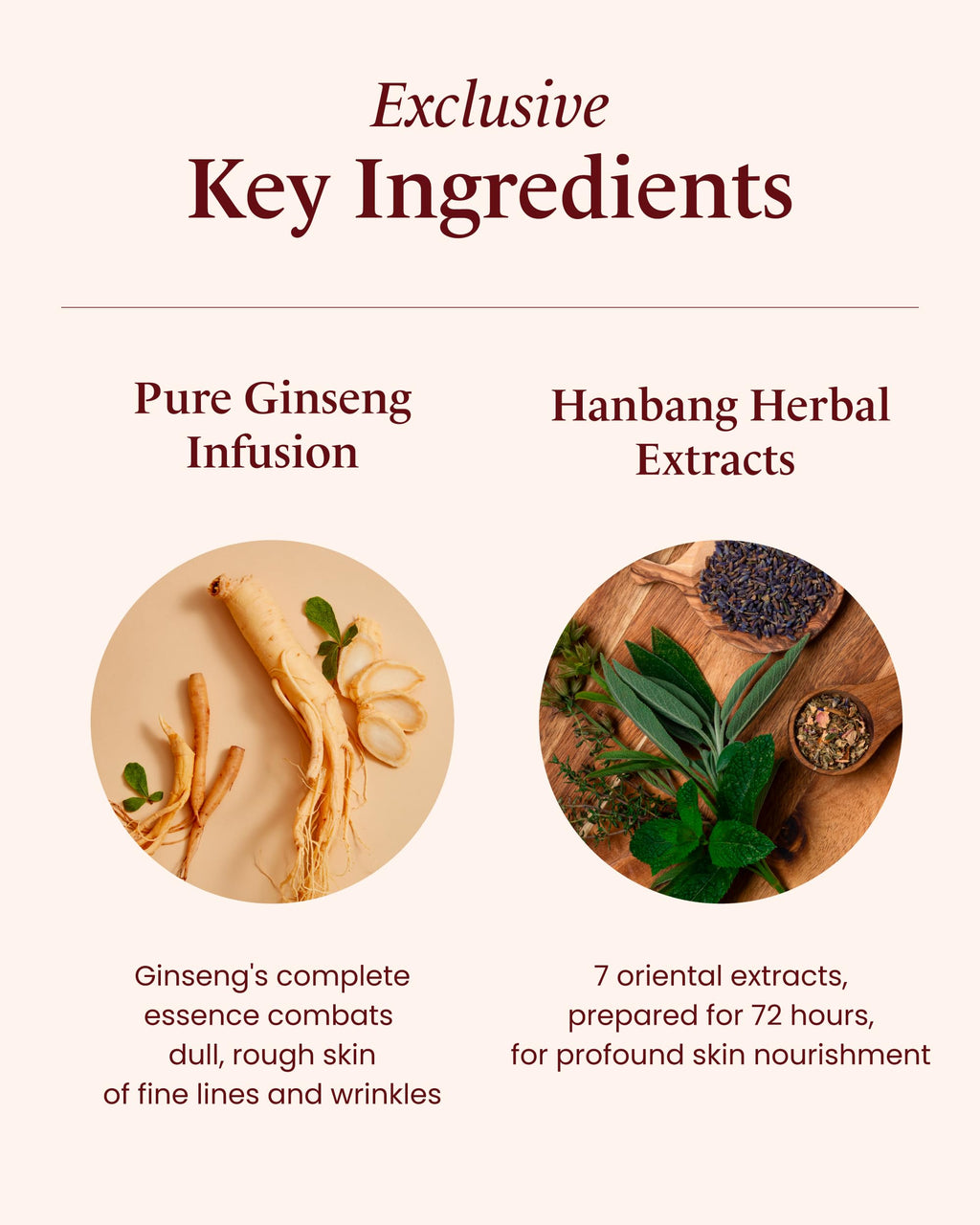 Sooryehan Bichaek True-Rejuvenating Skincare Gift Set – 206 ml | Korean Ginseng & Hanbang