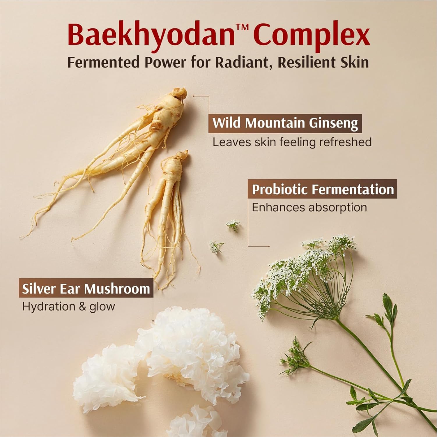 Sooryehan Hyobidam Fermented Bundle Gift Set – Hydration & Anti-Aging Skincare (14 fl oz total)