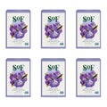 South Of France SoF Triple Milled Bar Soap – Fresh Violet with Coconut Oil & Organic Shea Butter | 6 oz Bar (6 Bars) | Vegan & Non-GMO