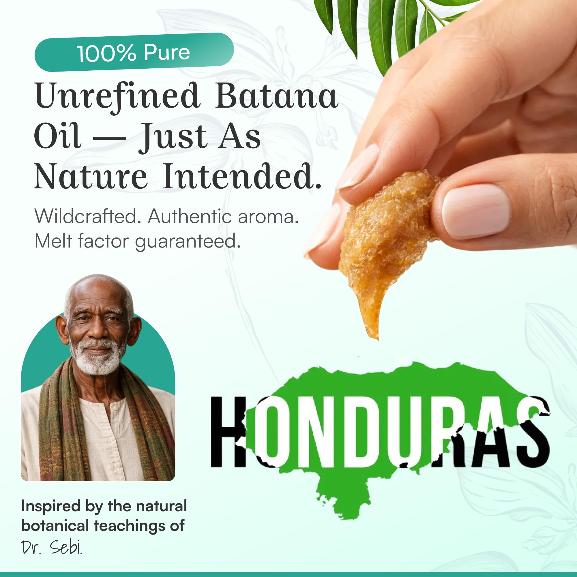SPOILD Raw Batana Oil for Hair Growth – Organic, Unrefined, 2oz (Honduras)