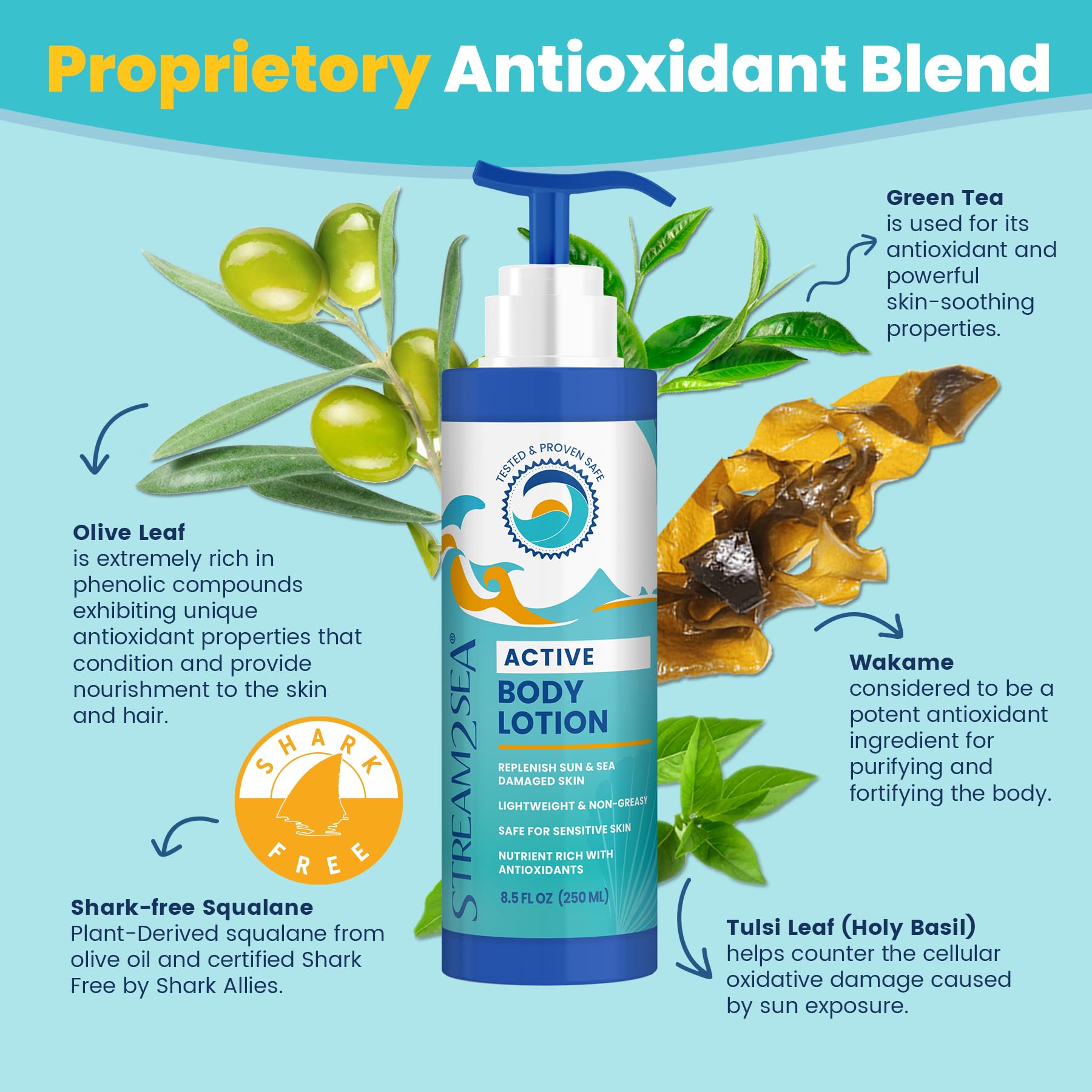 STREAM 2 SEA Nourishing Body Lotion – Deep Hydration, Reef-Safe, 32 oz