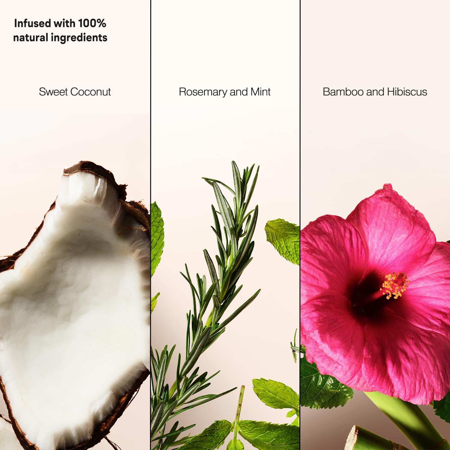 Suave Dry Shampoo Spray Variety 3-Pack – Rosemary & Mint, Bamboo & Hibiscus, Sweet Coconut (4.3 oz each)