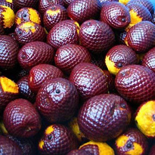 Sweet Essentials 100% Organic Buriti Oil (Aguaje) – Cold-Pressed, 2oz Glass Bottle with Dropper