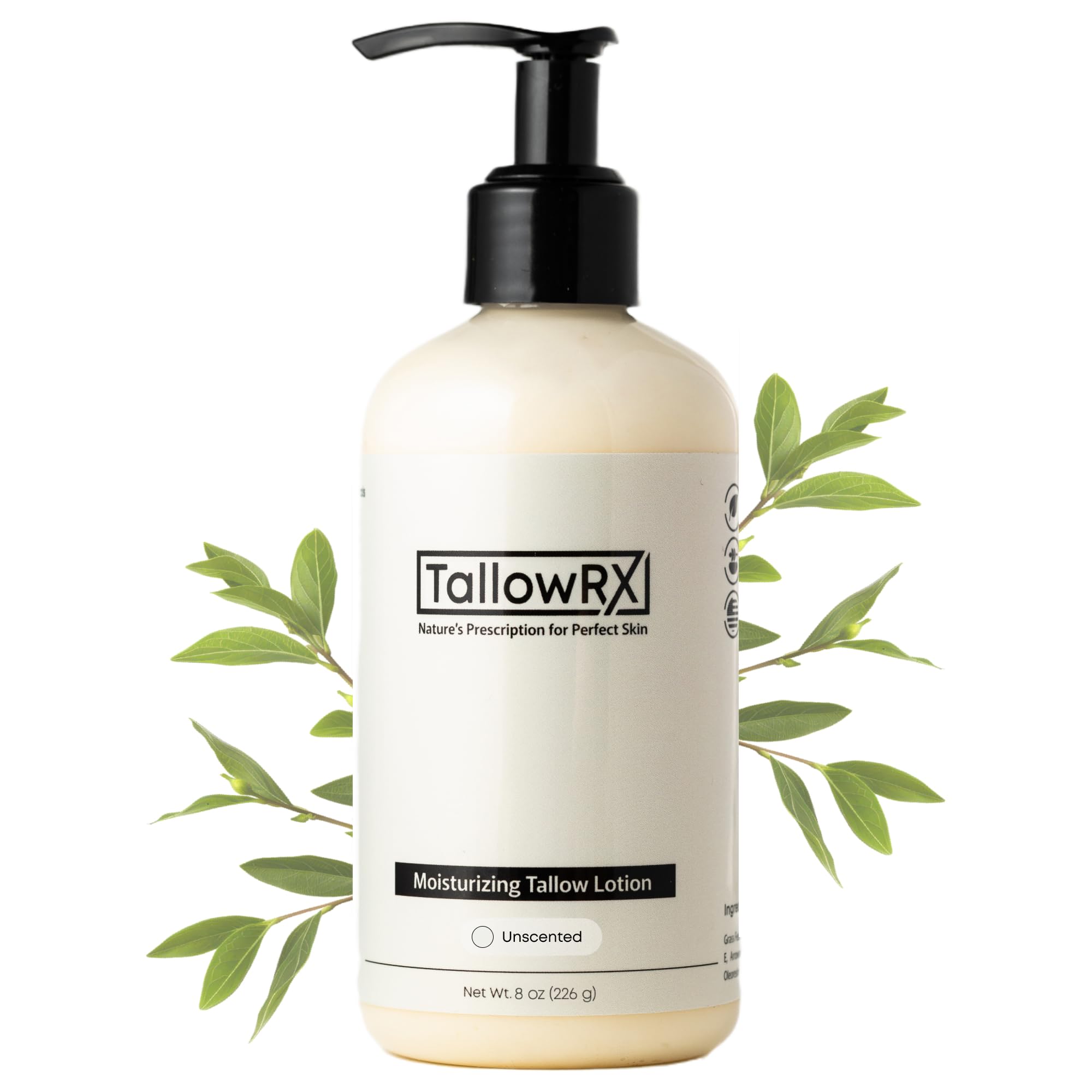 TALLOWRX Tallow Body Lotion – Grass-Fed Tallow Moisturizer with Jojoba Oil (Unscented, 8 oz)