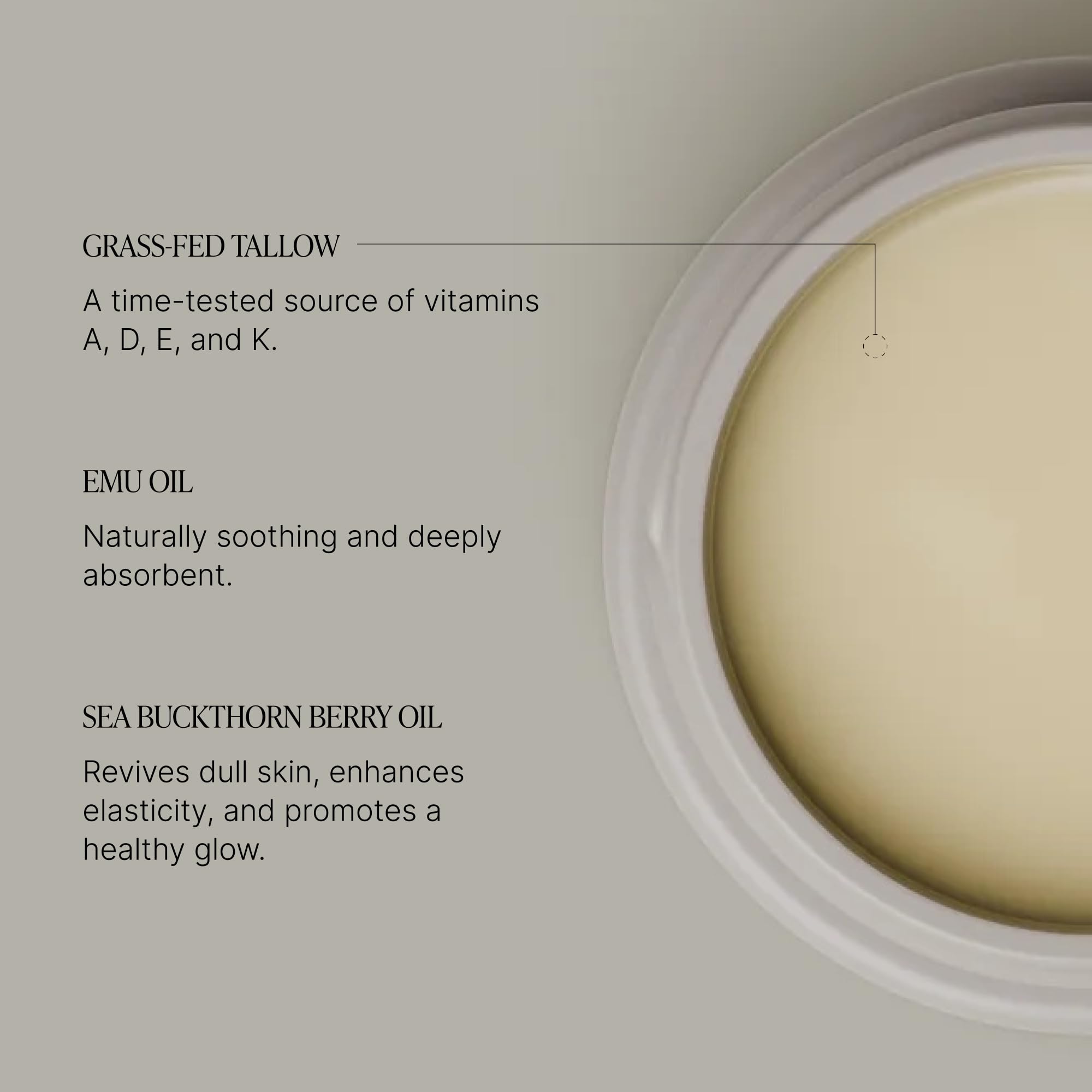 TALOVA Face + Body Balm – Grass-Fed Tallow & Emu Oil Moisturizer | Made in USA