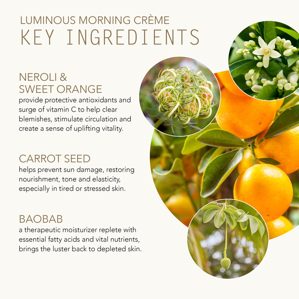 Tammy Fender Natural Luminous Morning Creme | Clean Plant-Based Day Moisturizer (2.3 oz / 65 g)