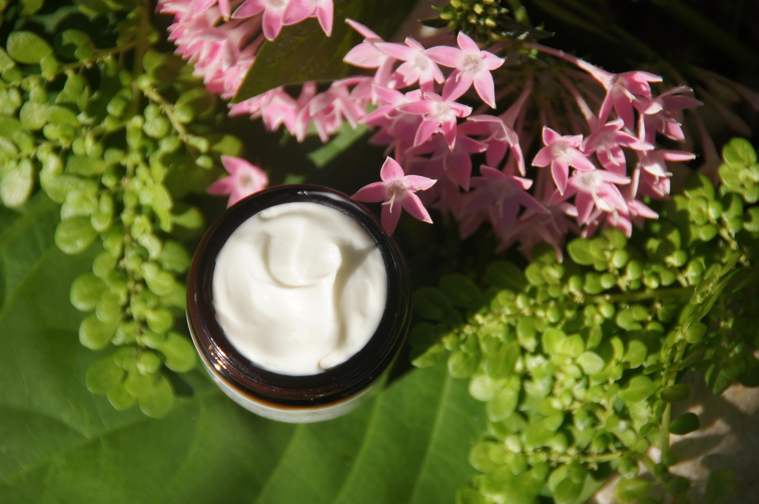 Tammy Fender Spontaneous Recovery Crème | Natural Hydration for Dry & Sensitive Skin | 2.3 oz