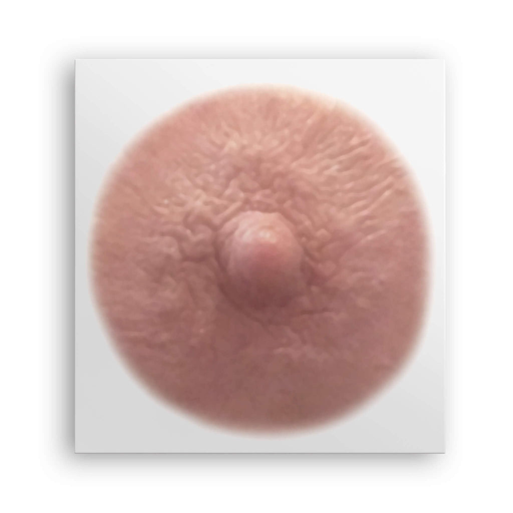 TataTattoos Temporary Realistic Nipple/Areola Tattoos – Non-Surgical Mastectomy Recovery (Auburn, Medium Pack of 10)